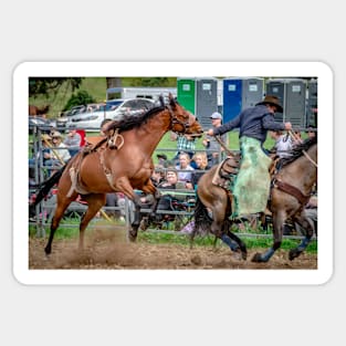 RODEOS, HORSES, COWBOYS Sticker